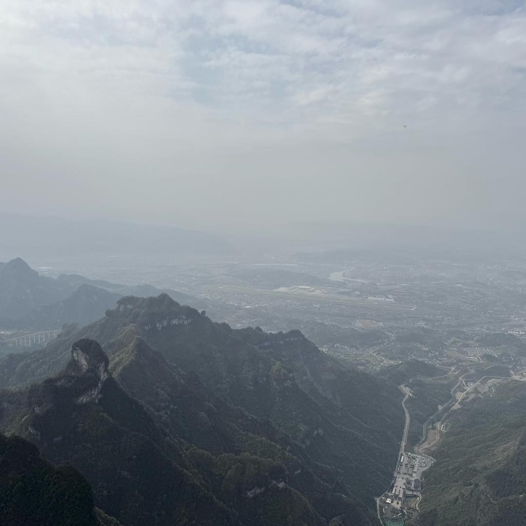 跑山洋洋