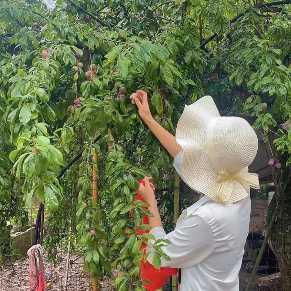所有账号已全部永久禁封从此抖音在无我……