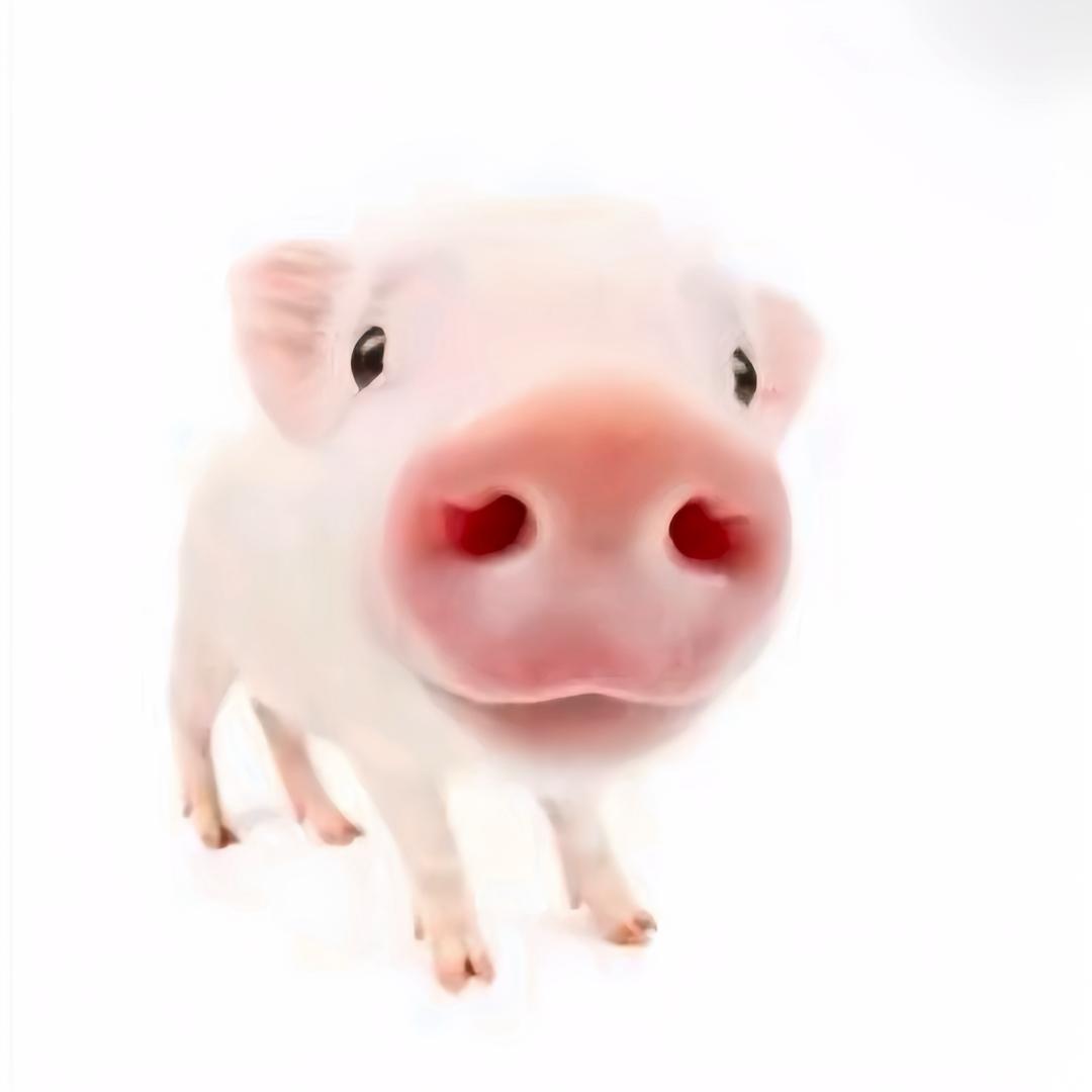 好好好