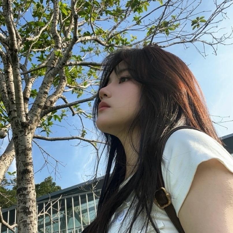 爱睡觉的羊🐏
