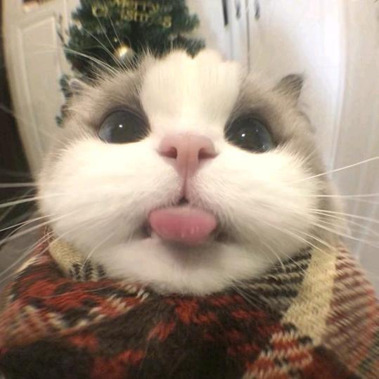一一me