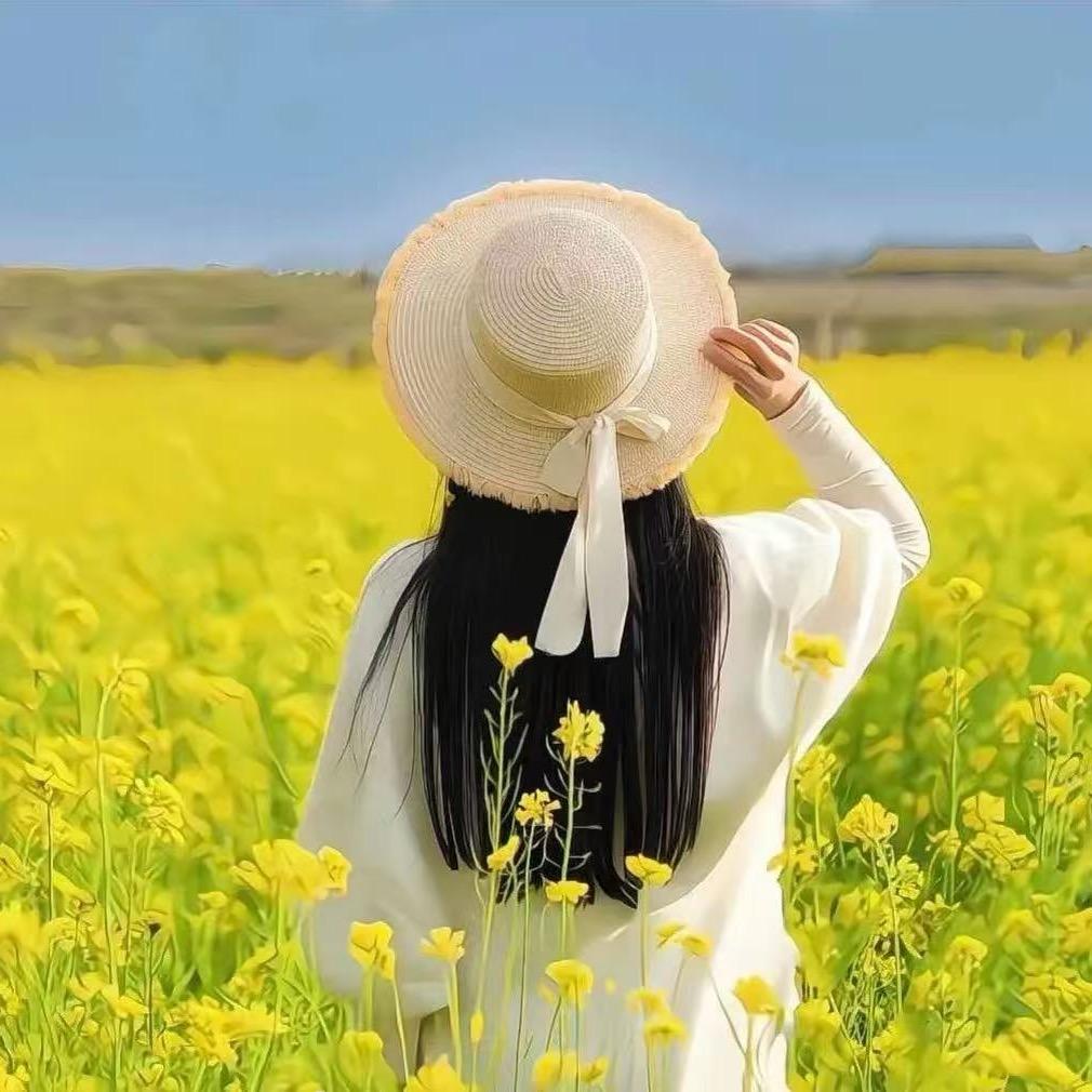 阿朱228