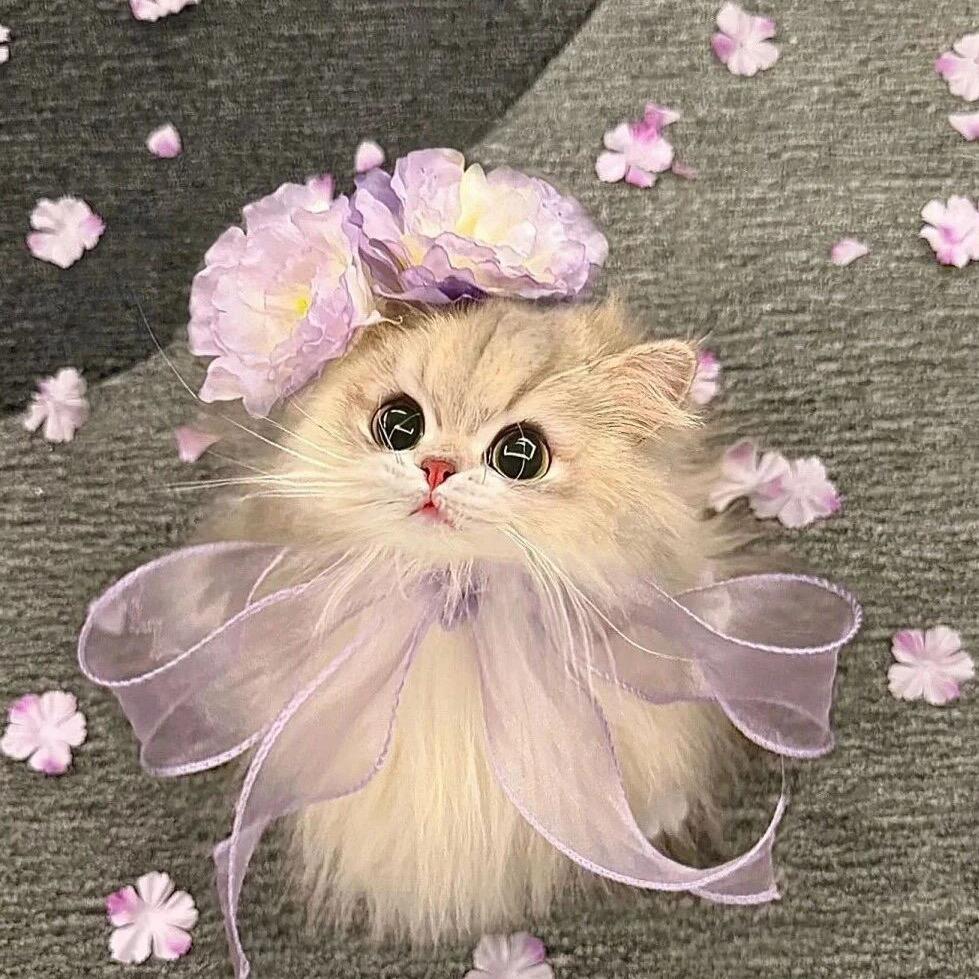 周周