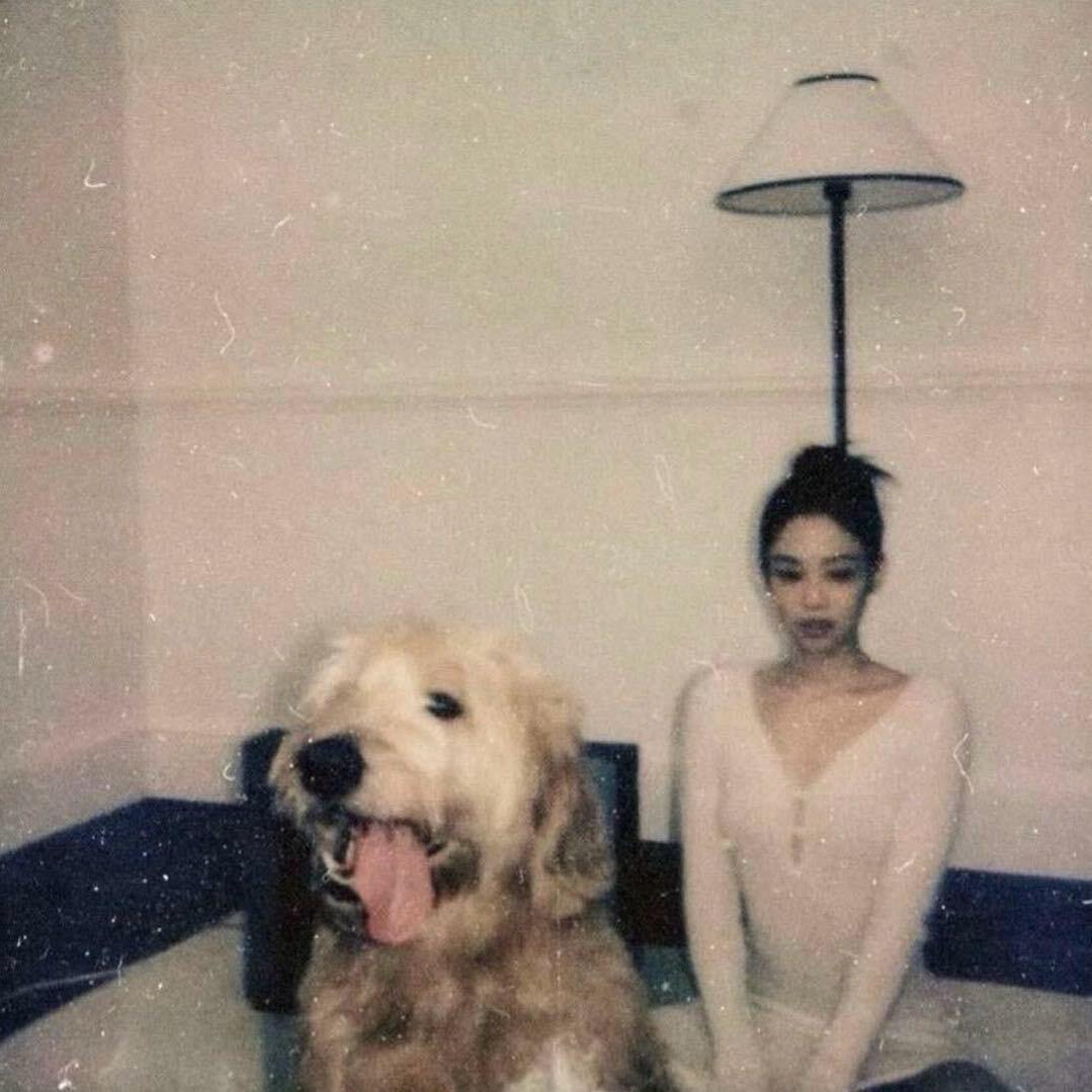 聚散有終-