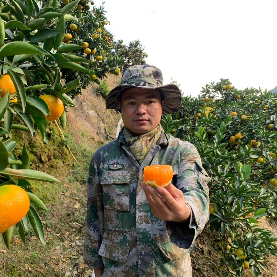 保岛水果旗舰店