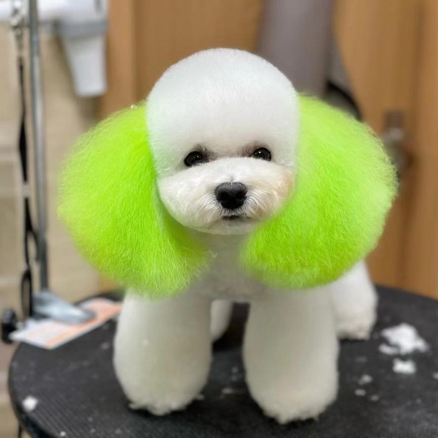 园区愈见它宠物诊所