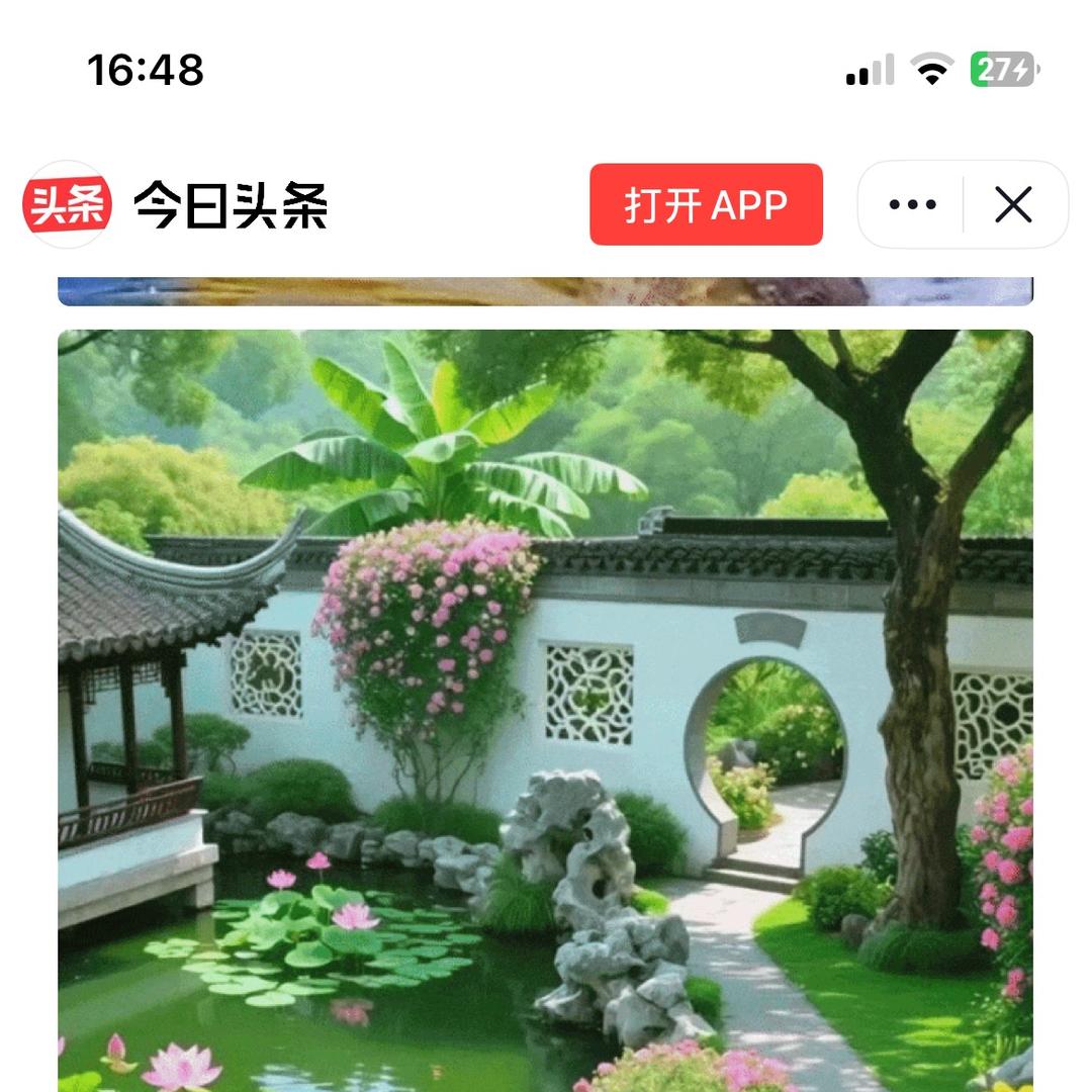 岳阳县枕豪百货优品小铺