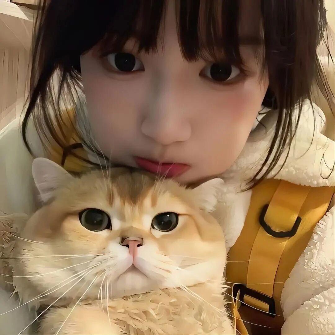 Koimm(见过凯源玺&薛之谦版）