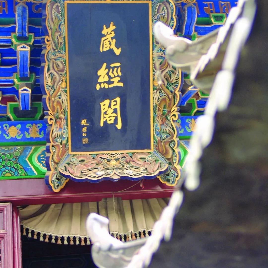 京都虎