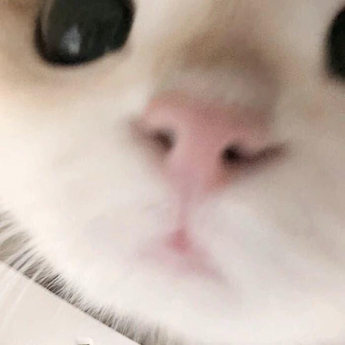 小迷糊x