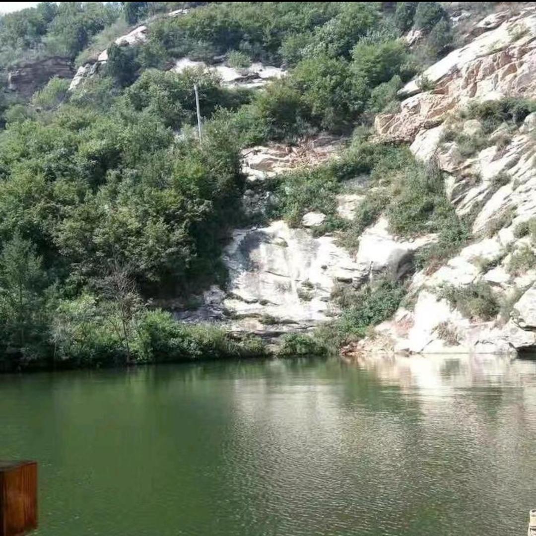 石晶晶