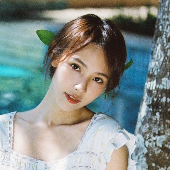 姚安妮