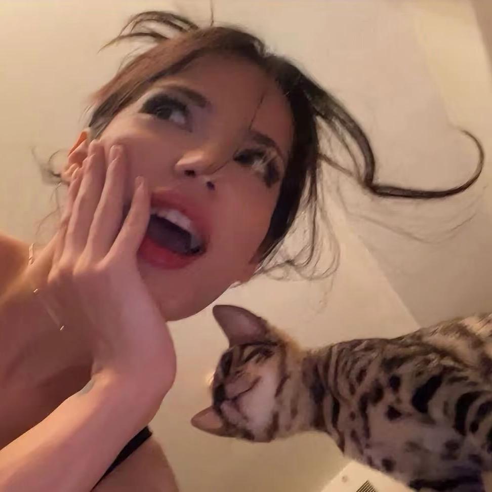 白豹🐆