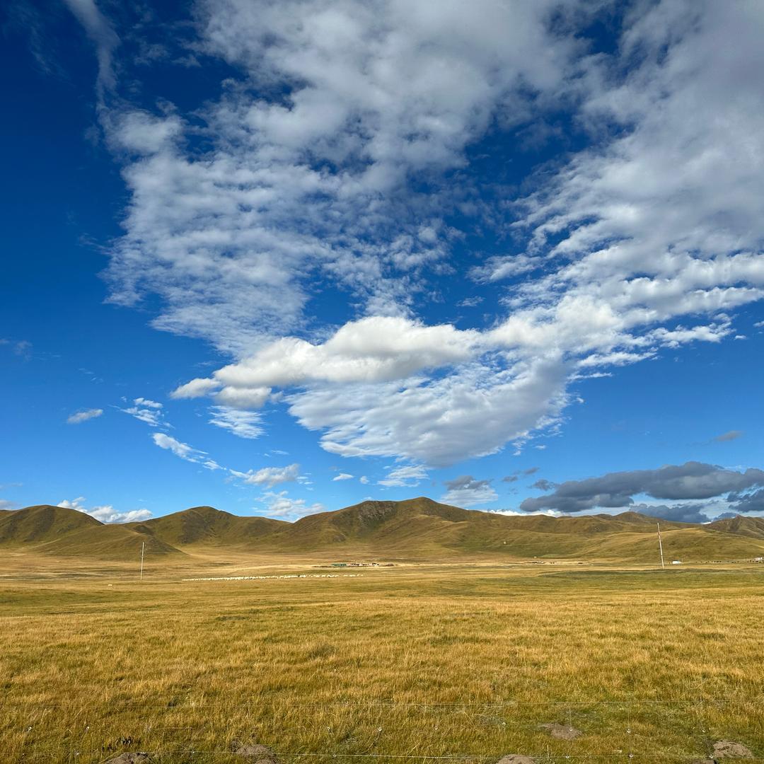 😊云淡风轻😊