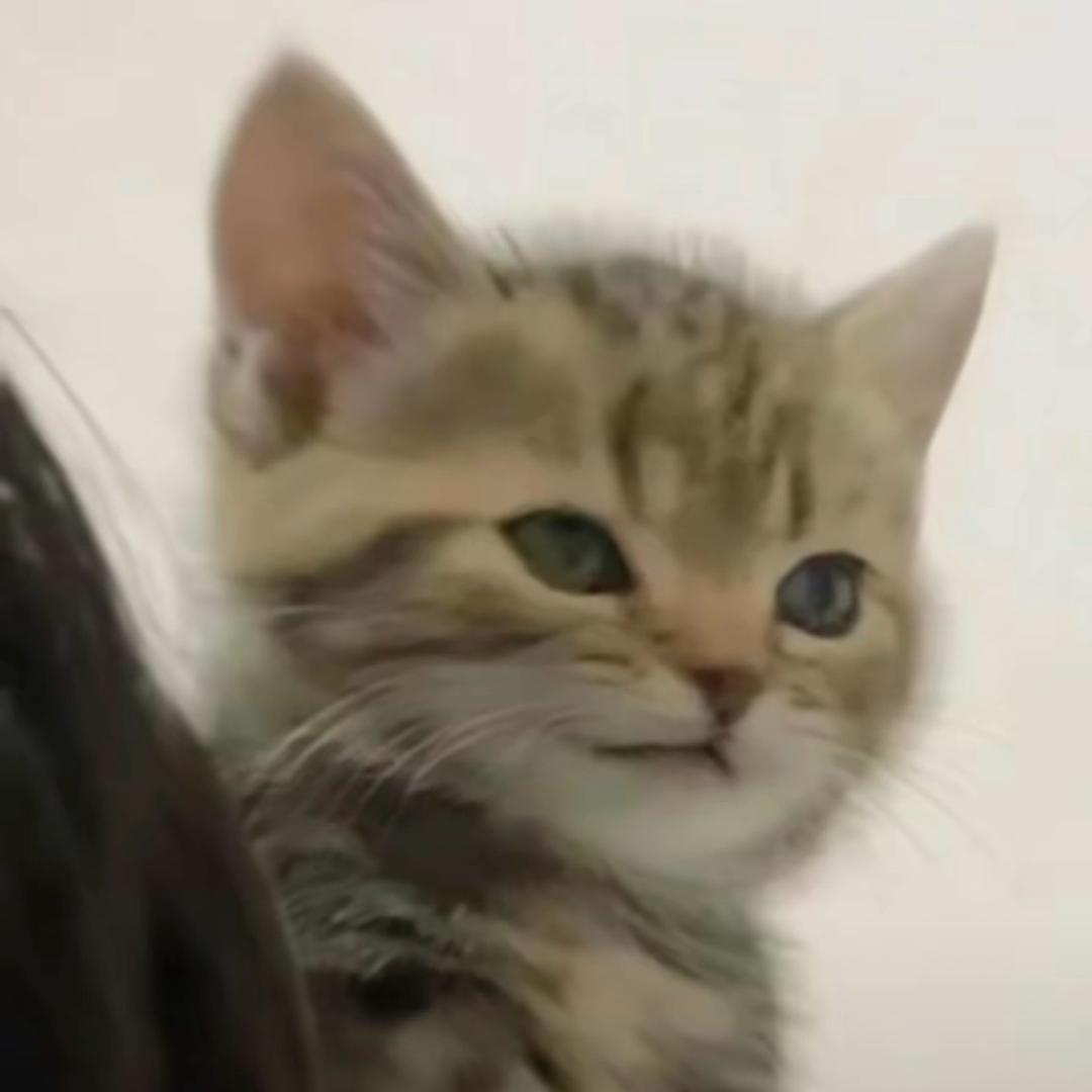 福临