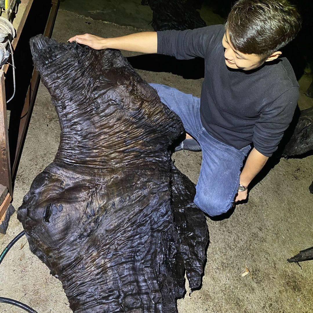 （来多财）金丝楠木