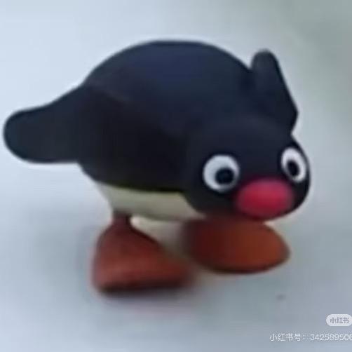 马达加斯加的企鹅