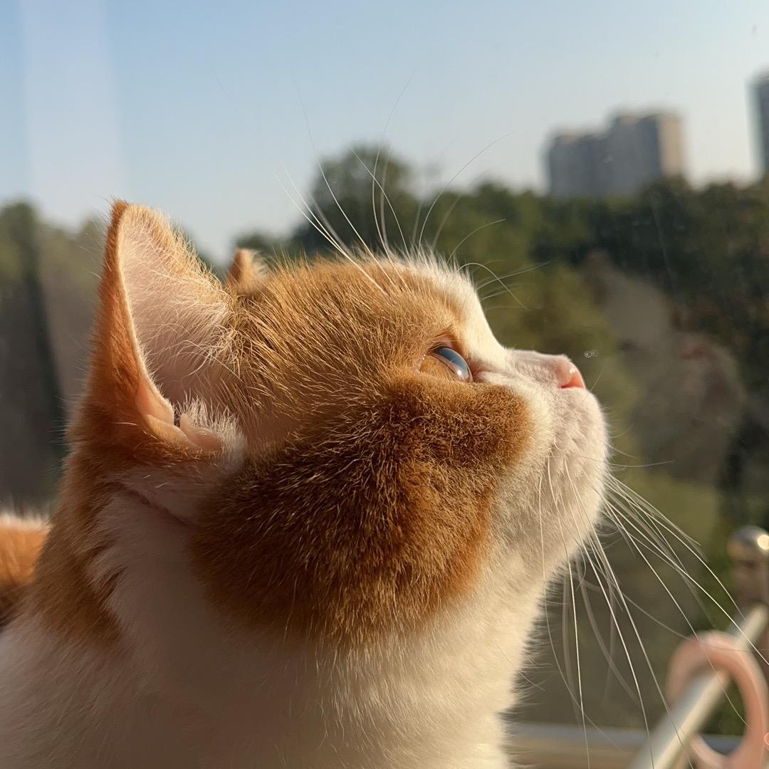 画效果图的牛马