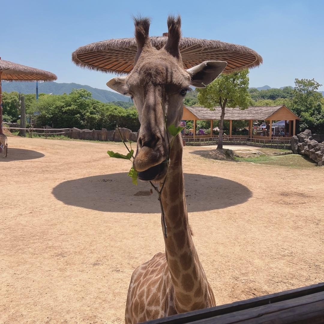 糊涂涂～三宝妈妈攒米实录