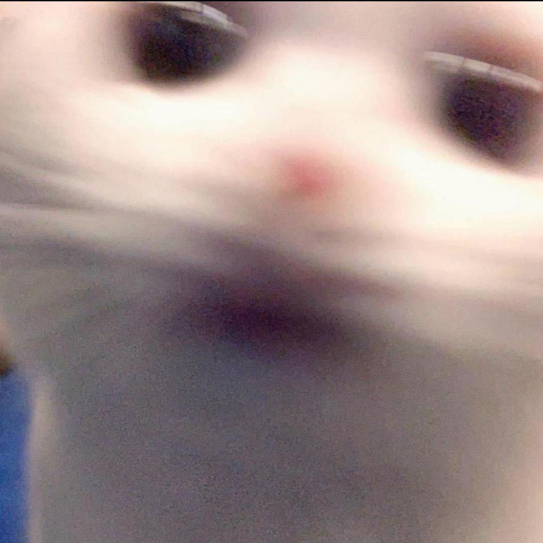 特勤处穿搭博主