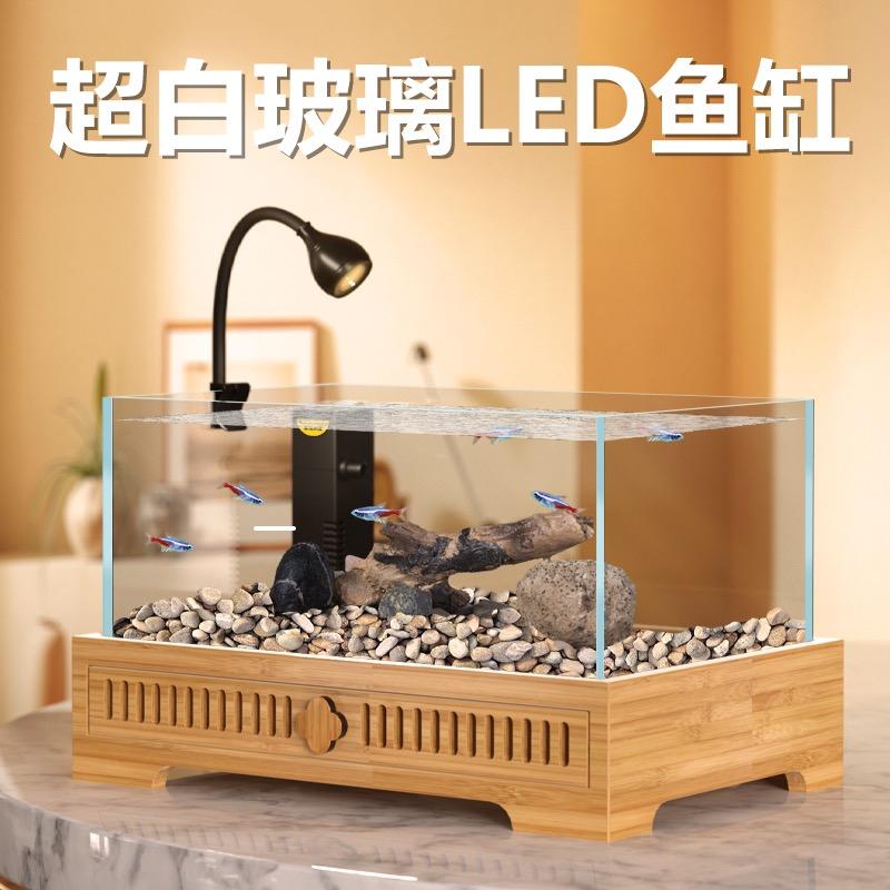 金利佳水族的小小号