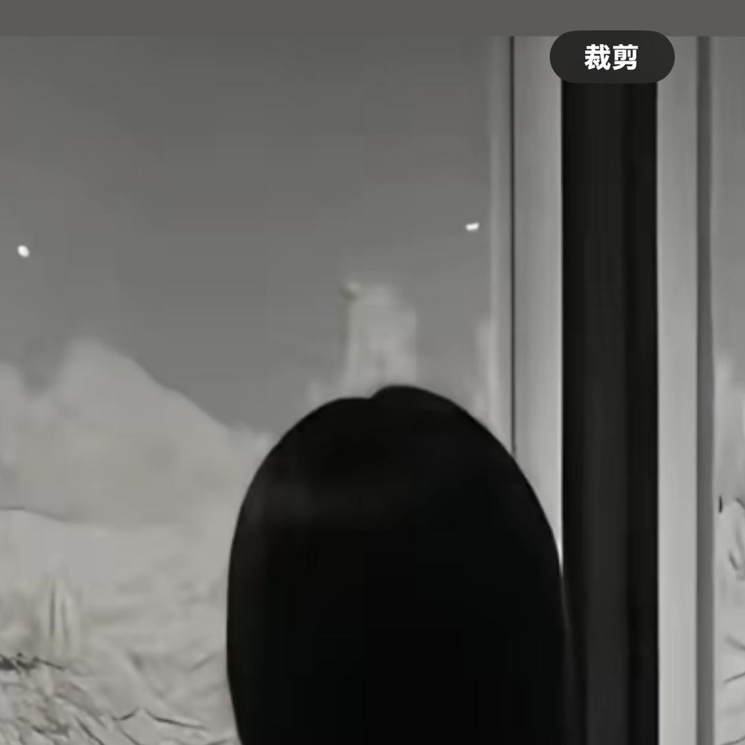 平果市顺利贸易商行（个体工商户）