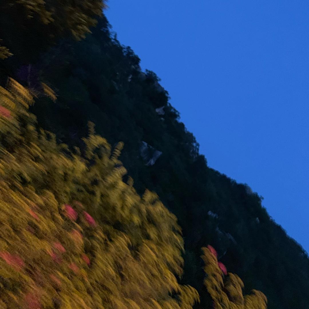 EZ大王（三角洲行动）