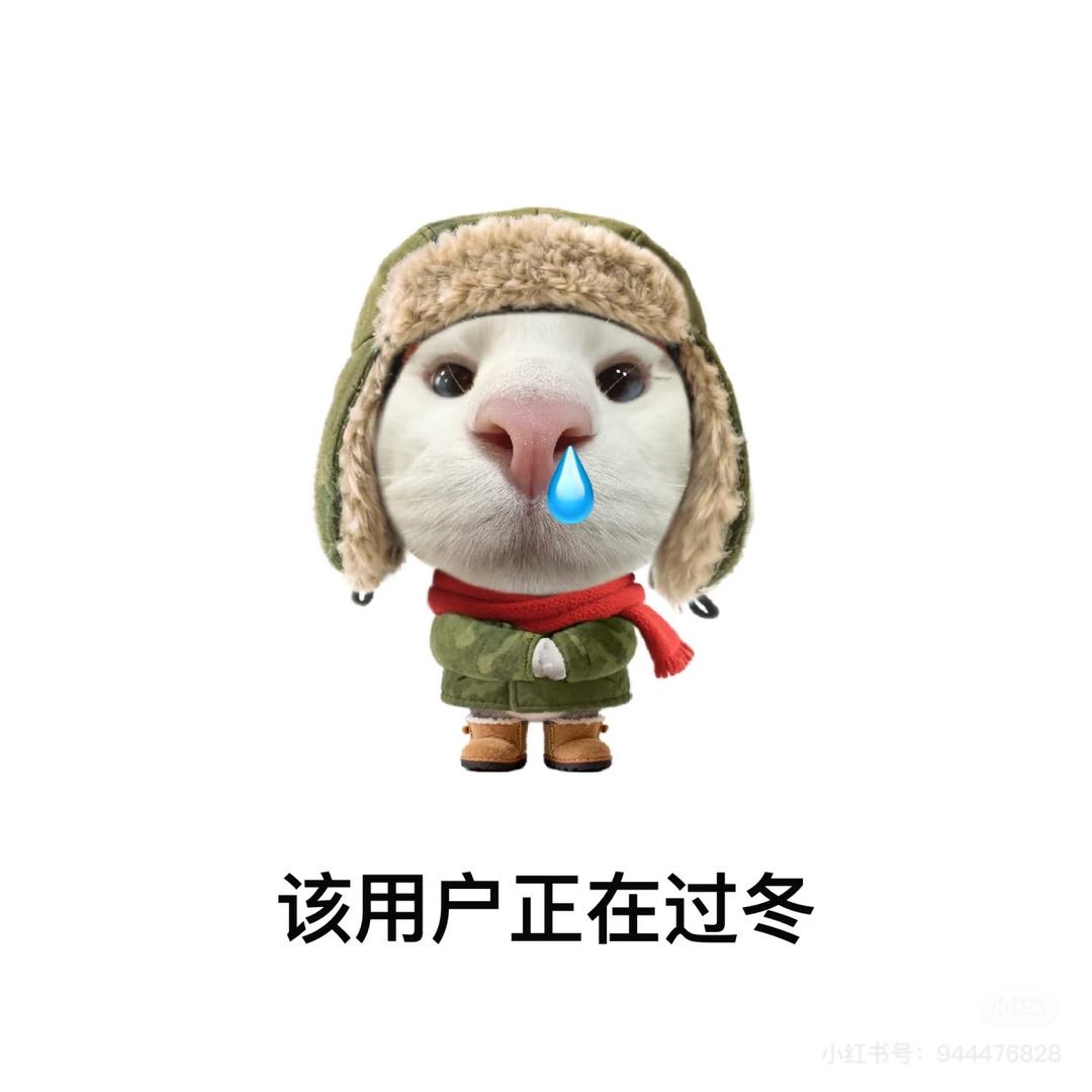 用户546484546484645484