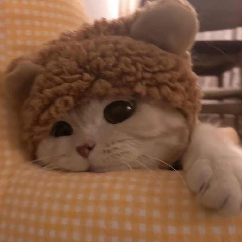 莓啤汽𖠚ˎˊ˗