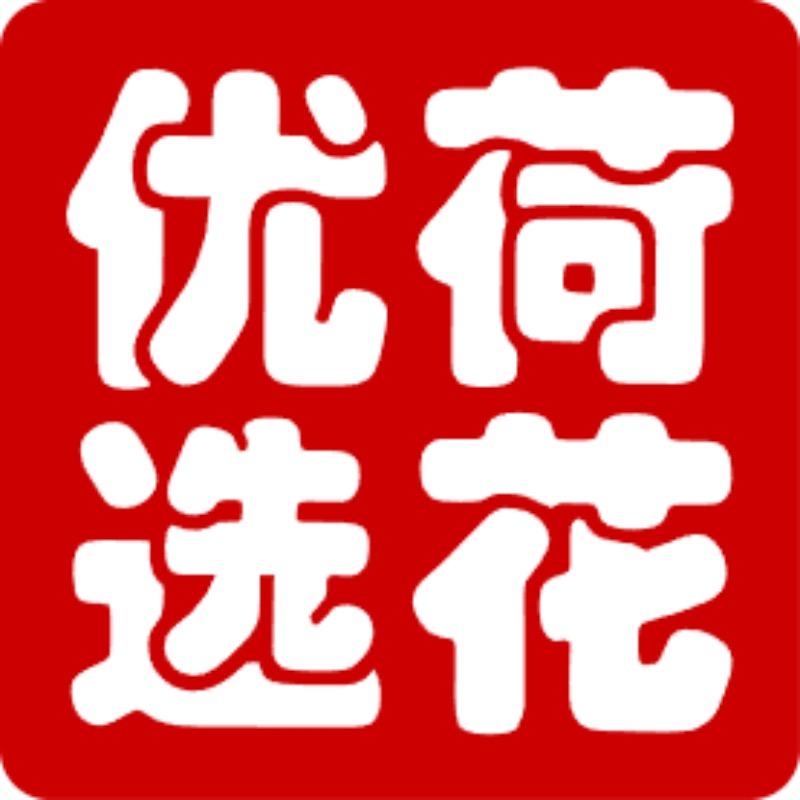 荷花优选哈尔滨特产美食店一号