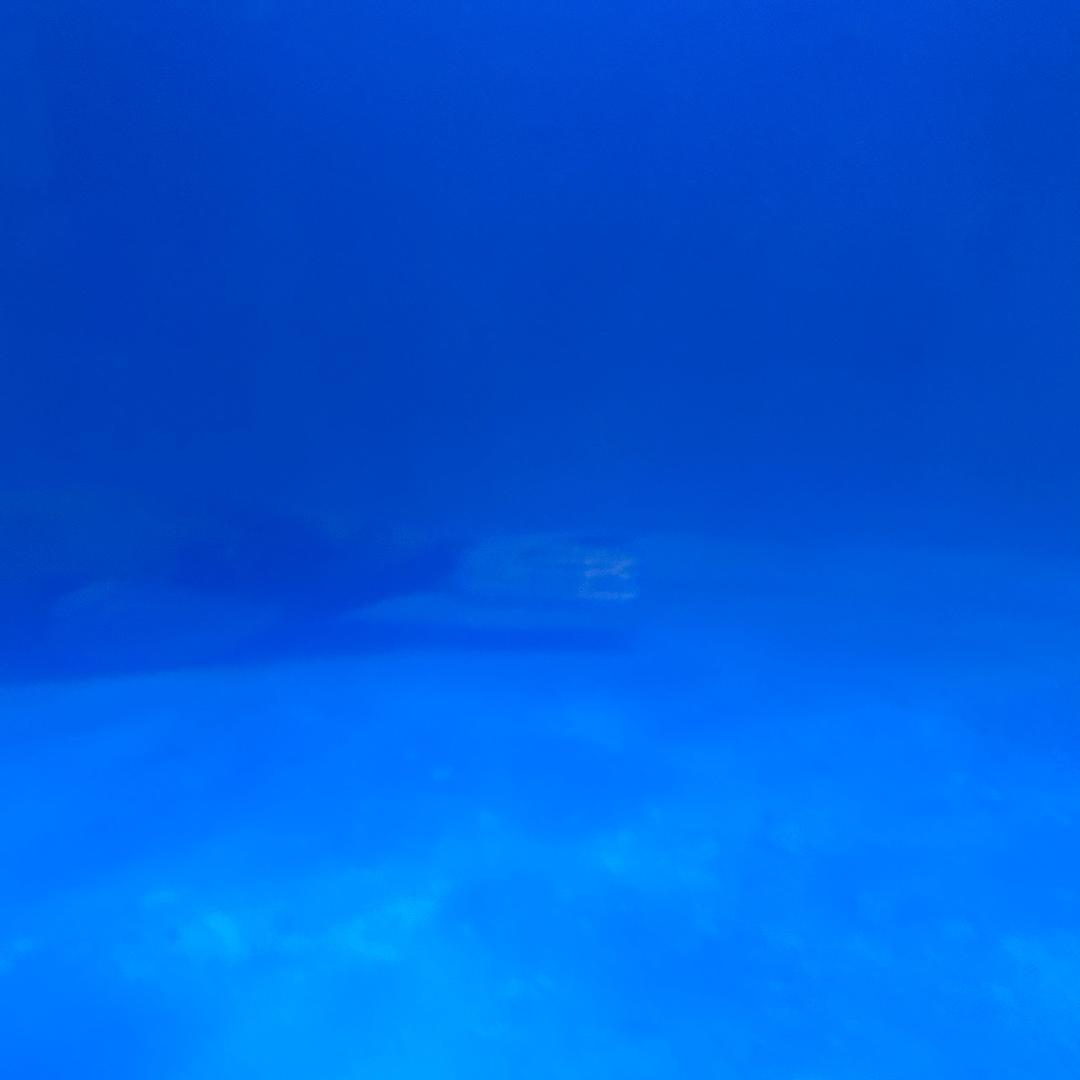 离散的燕子