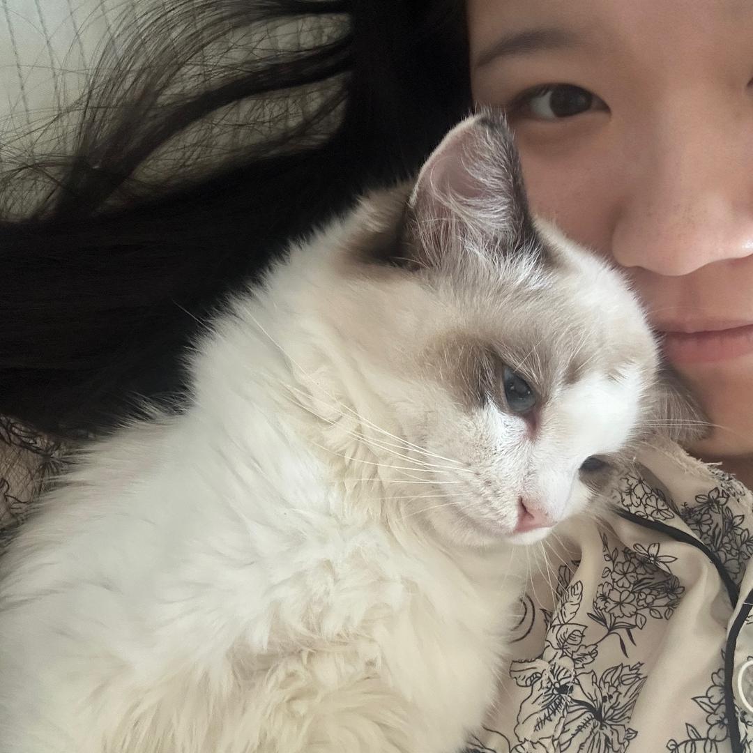 心心天天开心