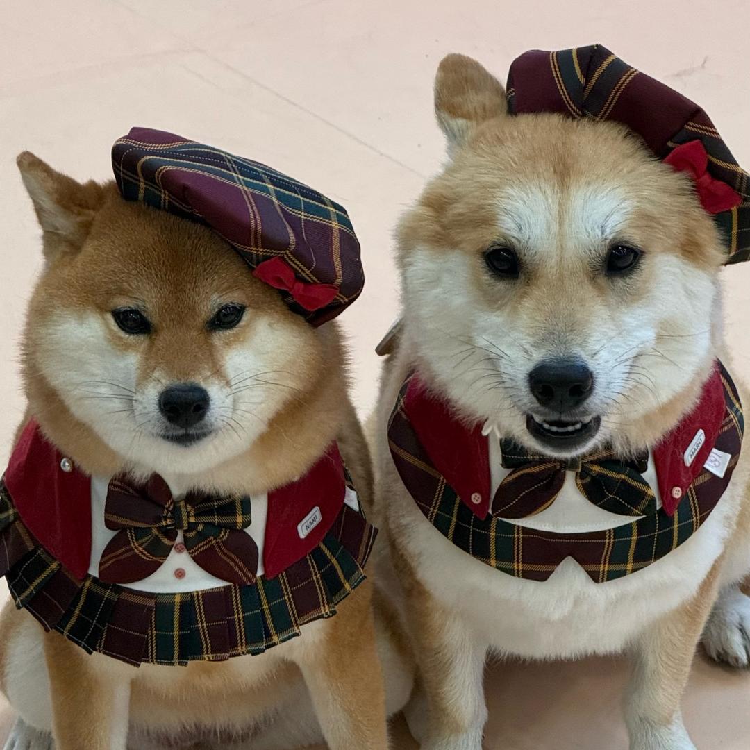不玩抖音