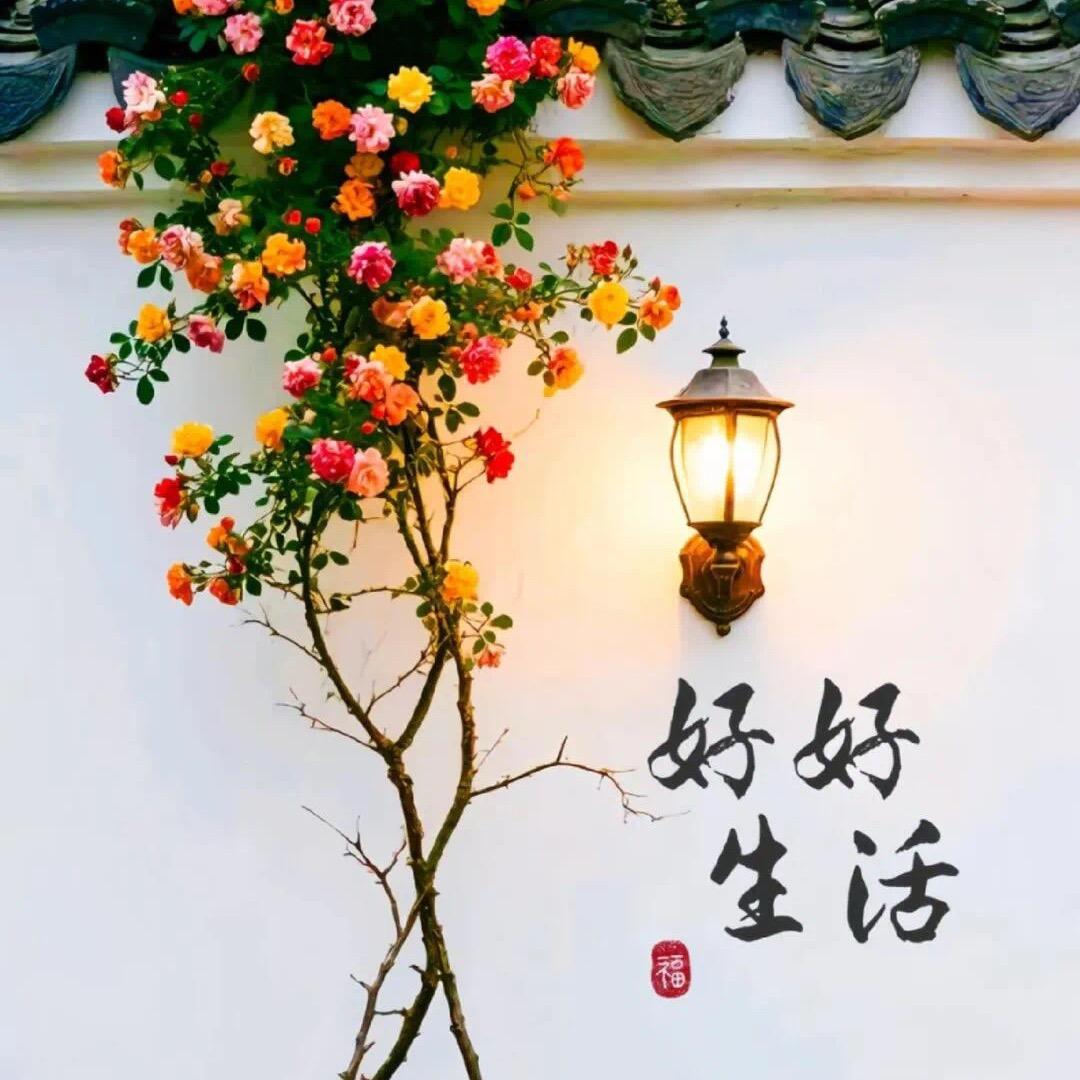 每天都不想上班