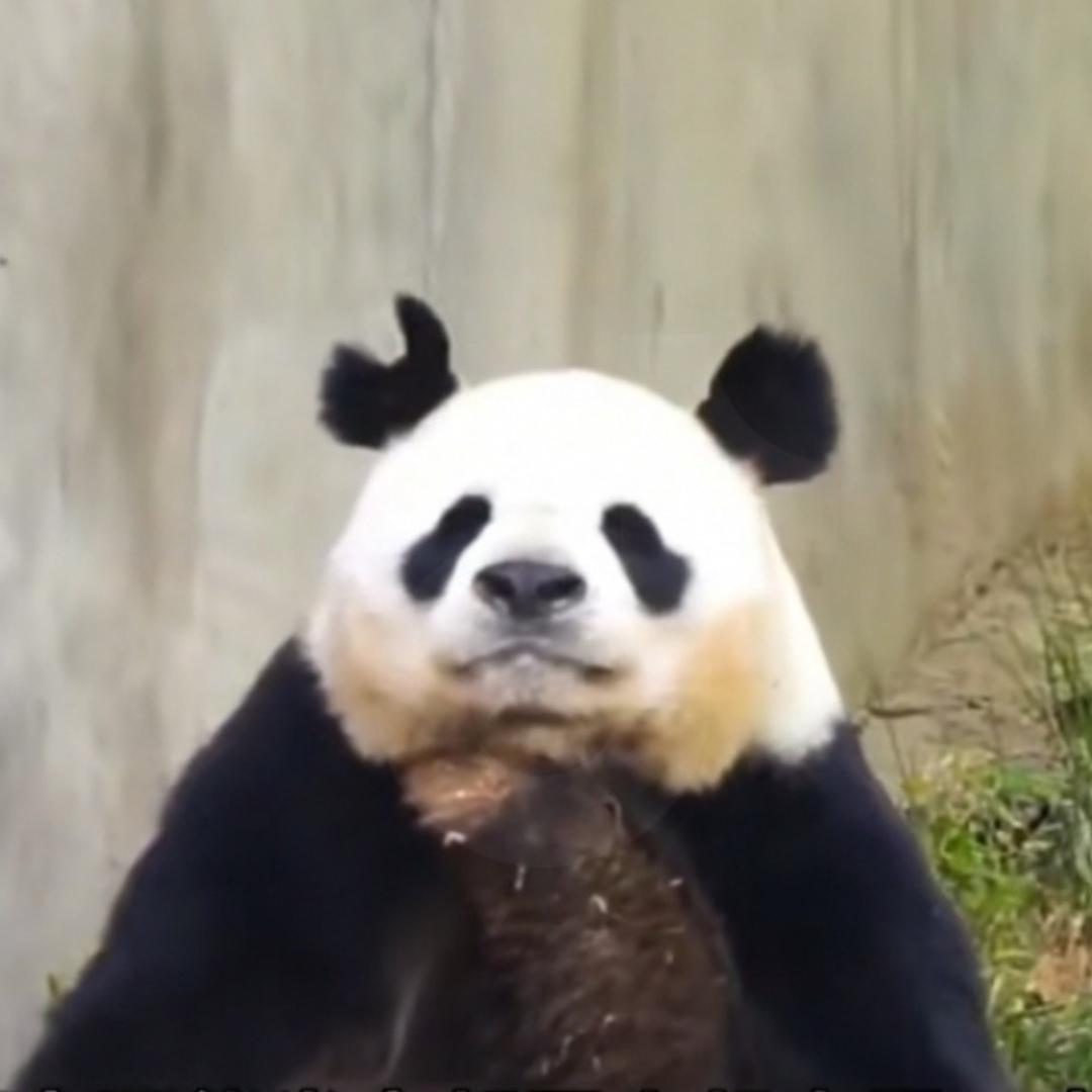 龙云