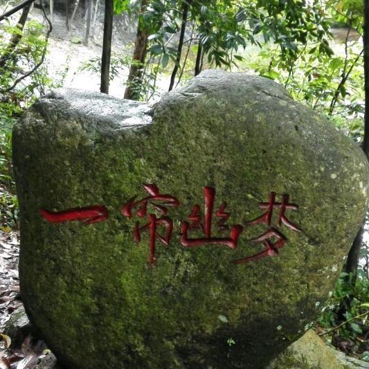 雄
