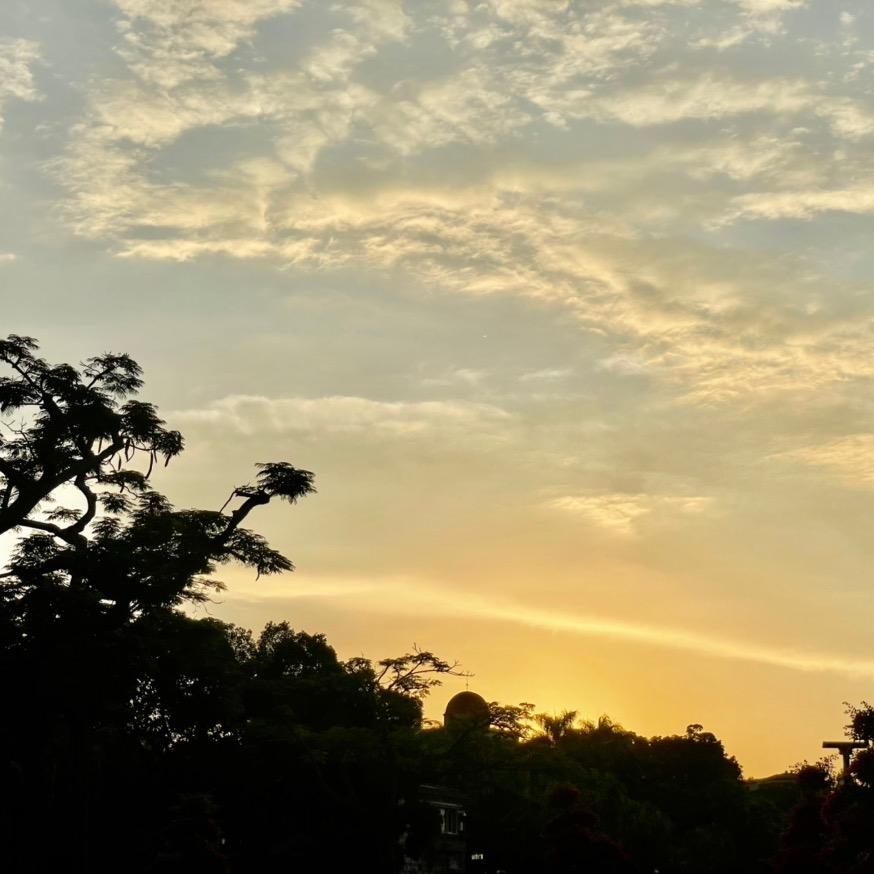 动                 🪳