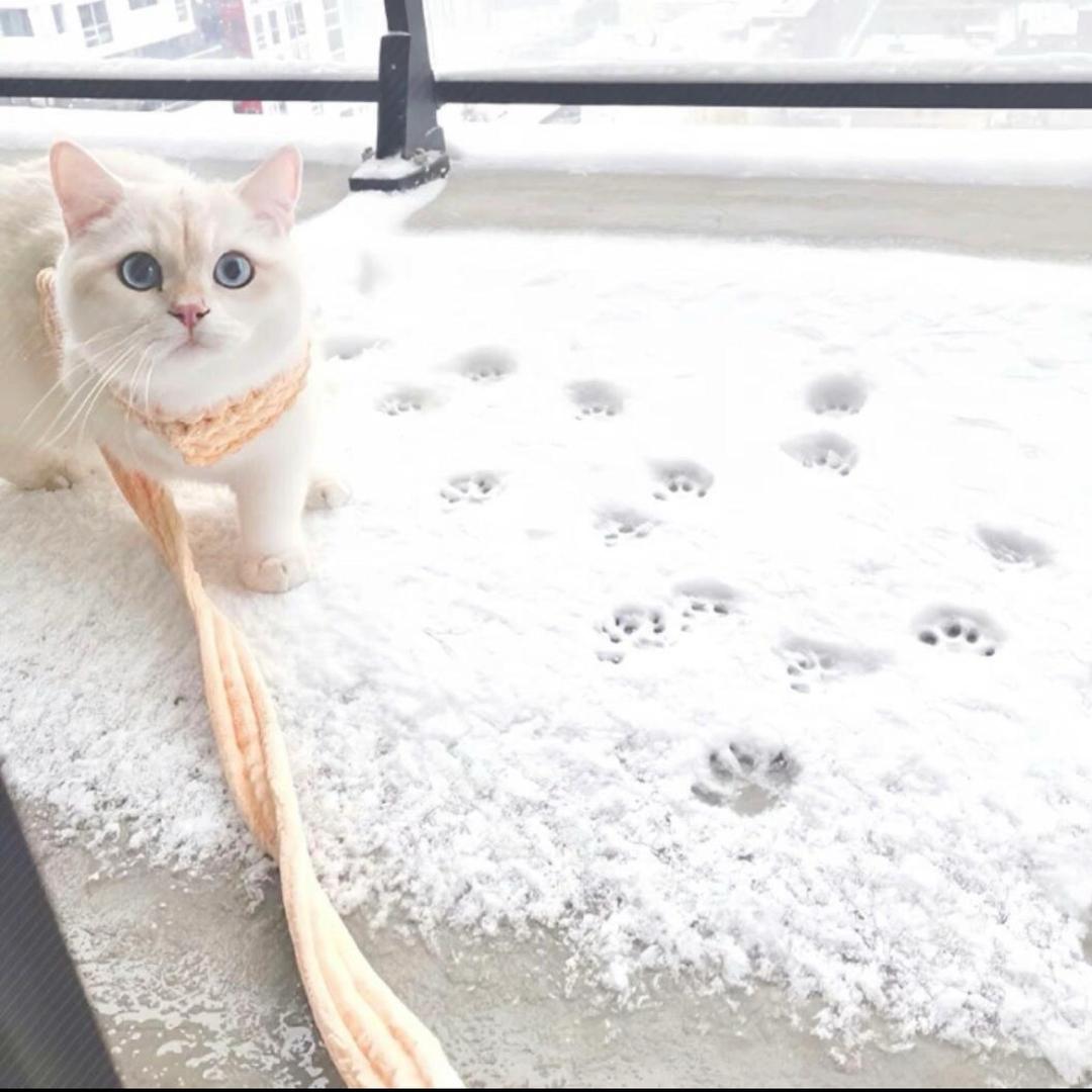 17秋