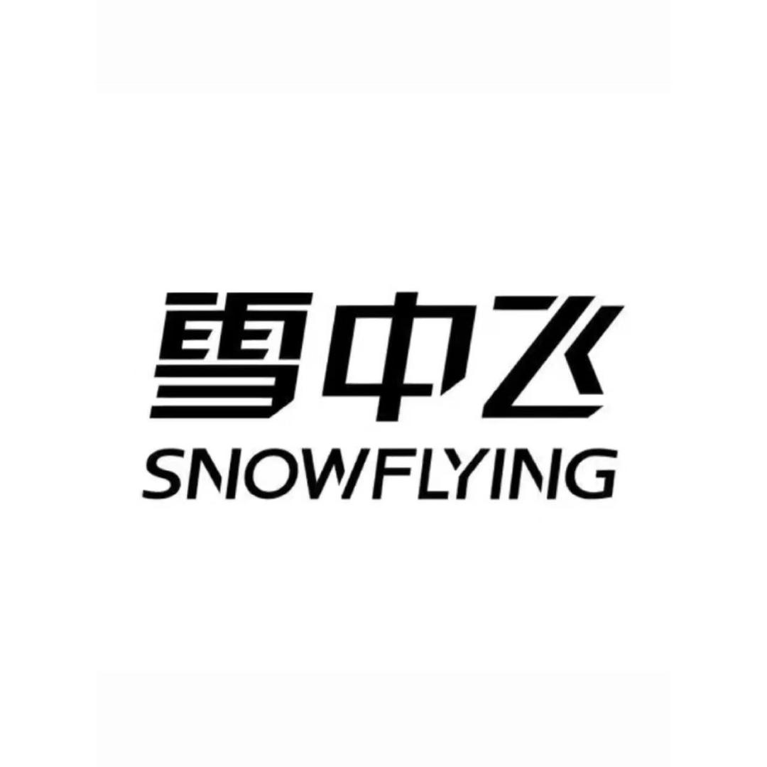雪中飞男鞋旗舰店