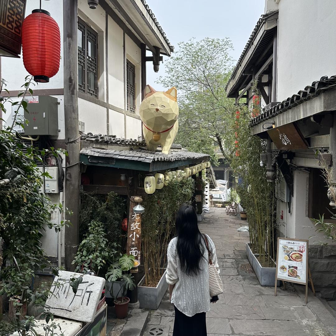 郑在暴富