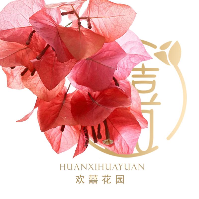 欢囍花园
