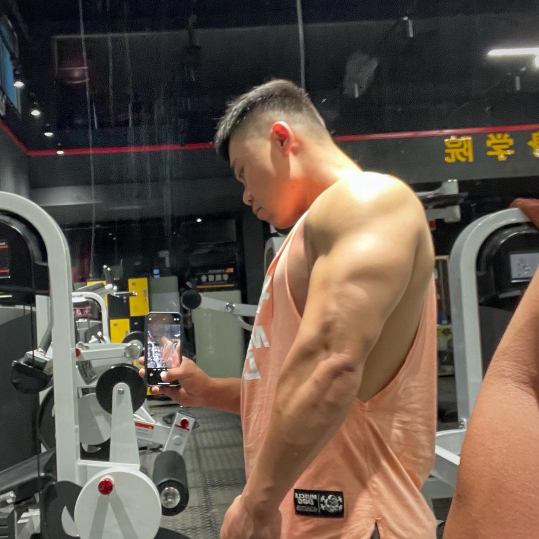 范迪赛尔