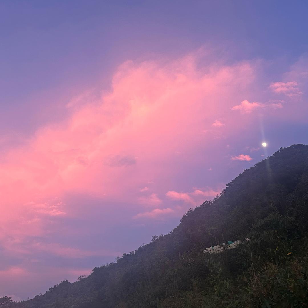 新宝现代-阿坤生活号