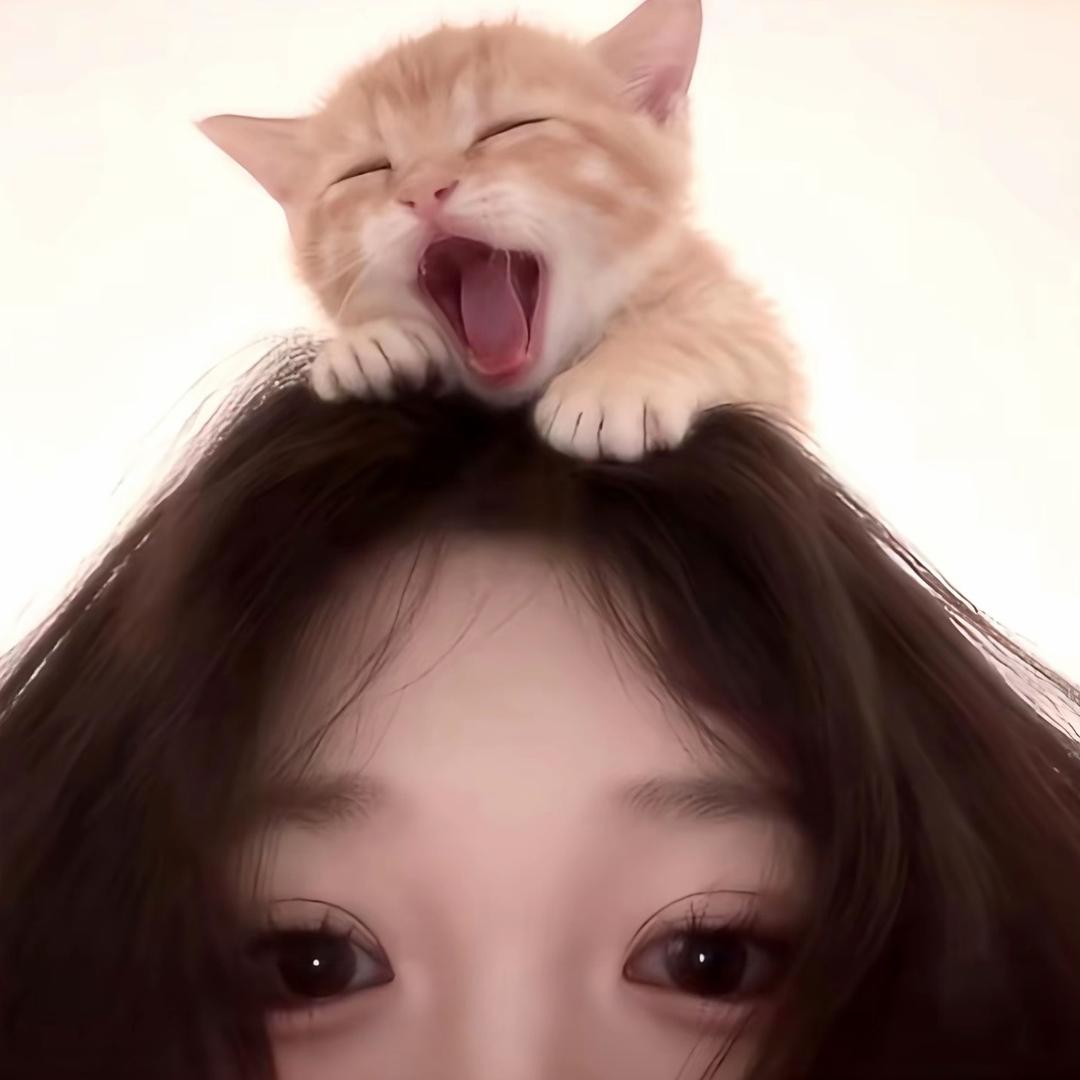 昭昭、