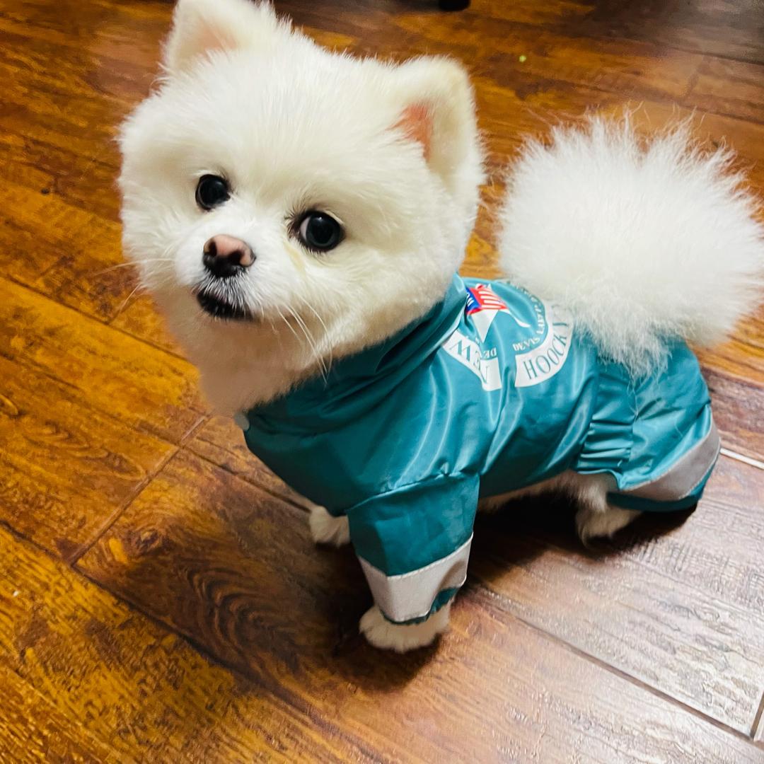 上善若水🥰🥰🥰