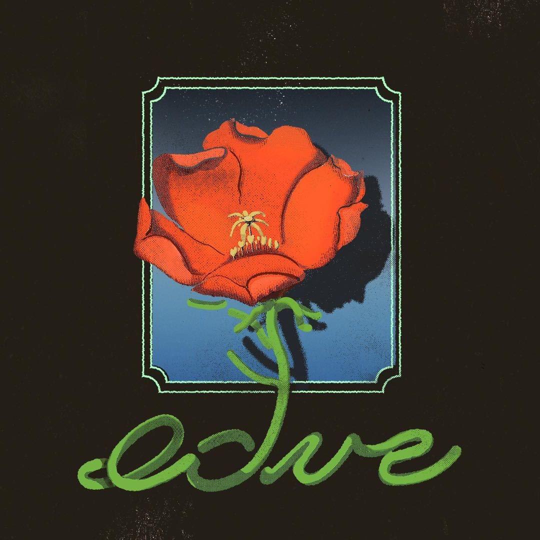 🌈小岛上的星光