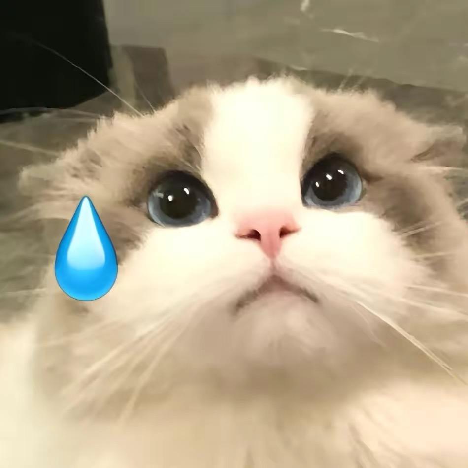 翻篇