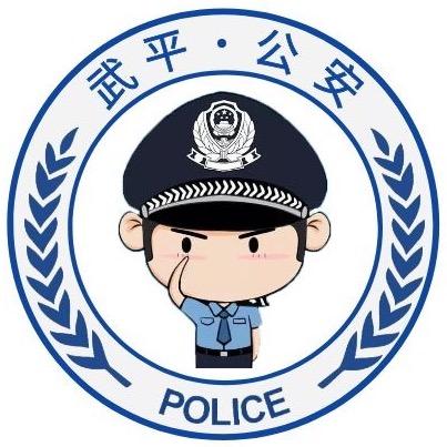 武平公安