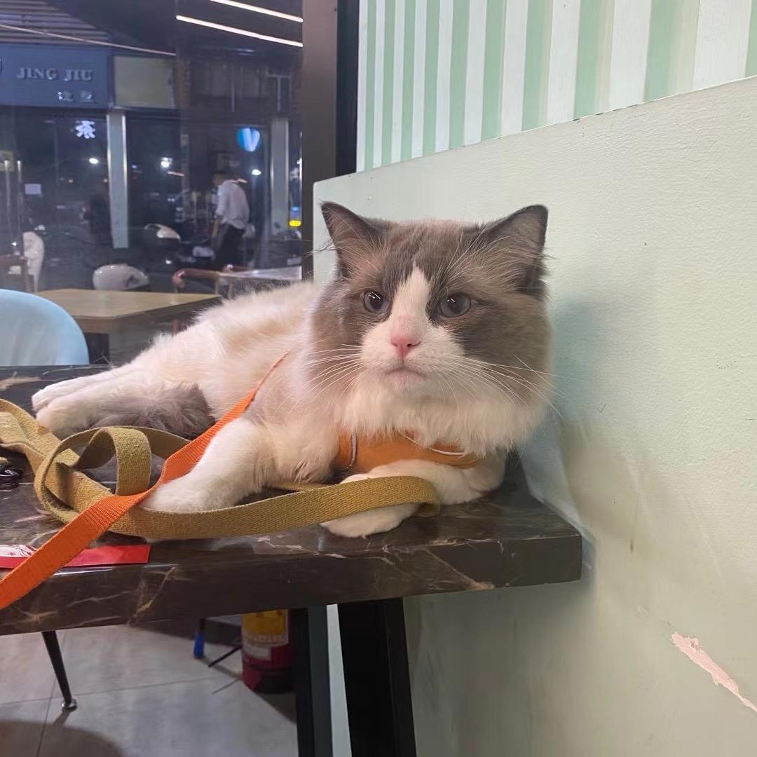 阿里1688广东邹经理开店咨询