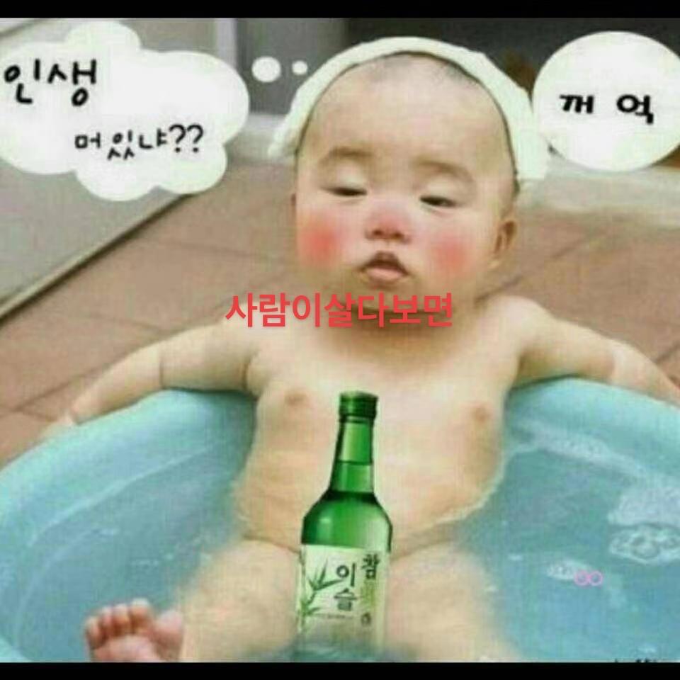 南